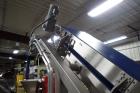 Moline Dough Elevator Conveyor